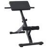 vidaXL Bancă de hiperextensie Manual Negru 100,5 x 70 x 78 cm