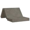 vidaXL Canapea Pat Pliabilă 80 x 67 x 45 cm Gri deschis