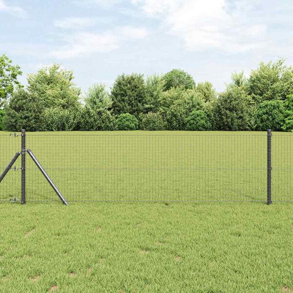 Se afișează imaginea 2 din 9