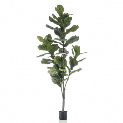 Emerald Ficus artificial Lyrata 160 cm