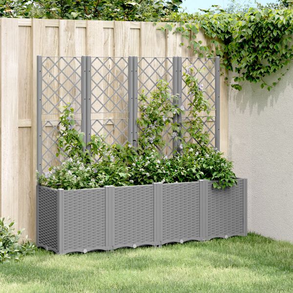 Se afișează imaginea 2 din 8