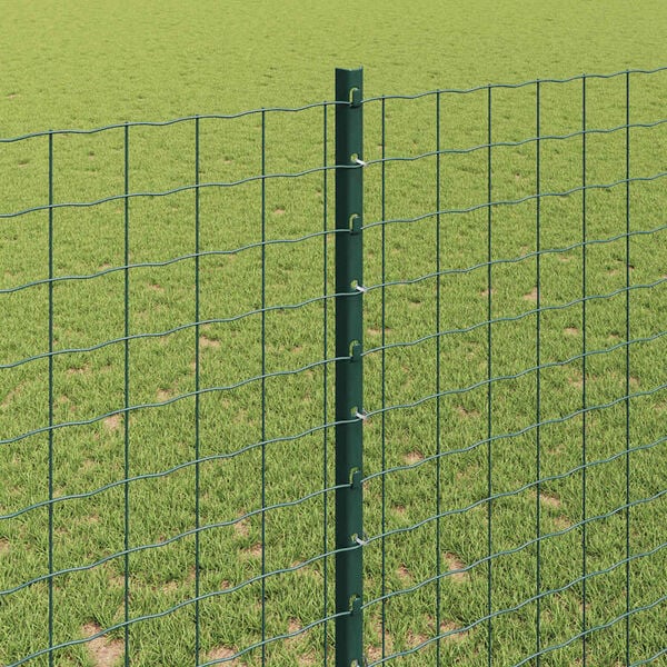 Se afișează imaginea 4 din 8