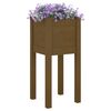 vidaXL Jardiniere grădină 2 buc. maro miere 31x31x70 cm lemn masiv pin