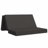 vidaXL Canapea Pat Pliabilă 120 x 67 x 45 cm Gri &icirc;nchis