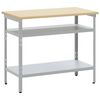 vidaXL Masă de lucru Gri 100 x 55 x 85 cm Oțel vopsit electrostatic