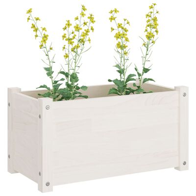 vidaXL Jardinieră de grădină, alb, 60x31x31 cm, lemn masiv de pin