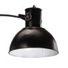 vidaXL Lampă de podea 25 W, negru, 150 cm, E27