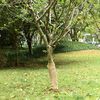 Imagine in miniatură a produsului 2 din 7