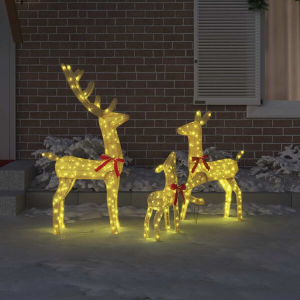 Se afișează imaginea 3 din 12