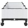 Imagine in miniatură a produsului 4 din 8