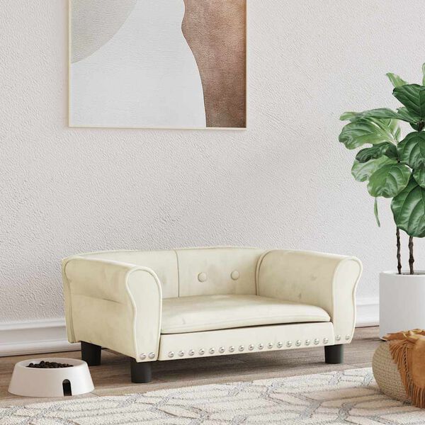 Se afișează imaginea 2 din 7