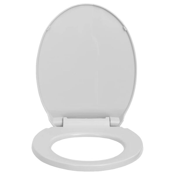 Se afișează imaginea 4 din 10