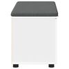 vidaXL Bancă pentru hol cu pernă cu depozitare Alb 80 x 46 x 46 cm