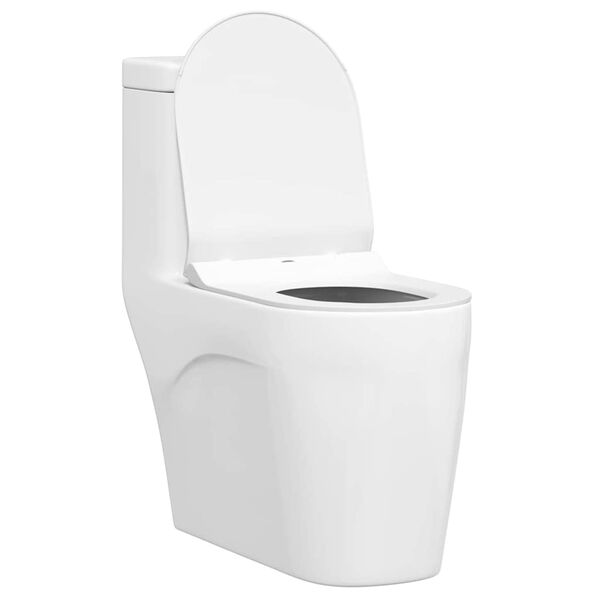 Se afișează imaginea 3 din 12