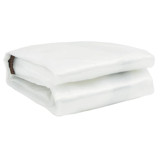 vidaXL Prelata transparenta cu ochiuri 6x10 m polietilena