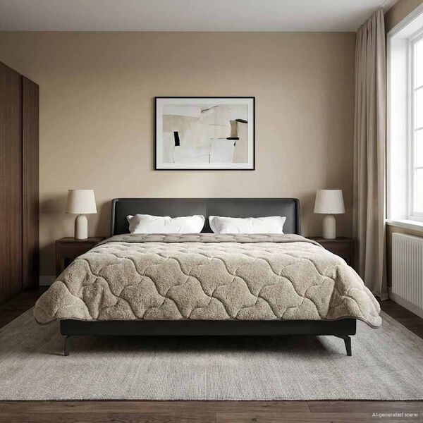 Se afișează imaginea 2 din 10