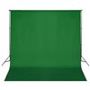 vidaXL Sistem de suport fundal, 600 x 300 cm, verde