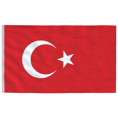 vidaXL Steag Turcia și stâlp din aluminiu, 5,55 m