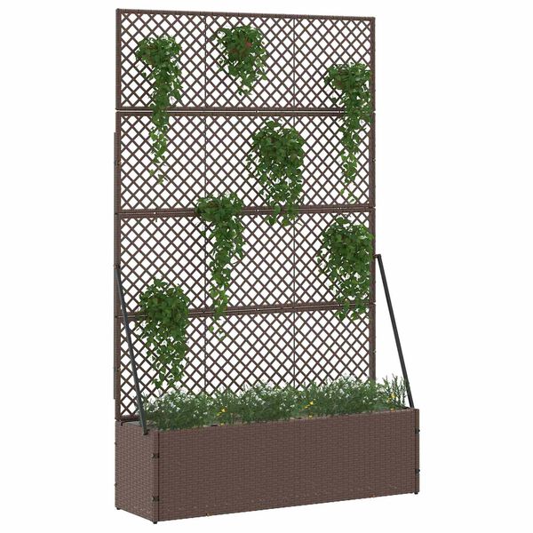 Se afișează imaginea 2 din 8