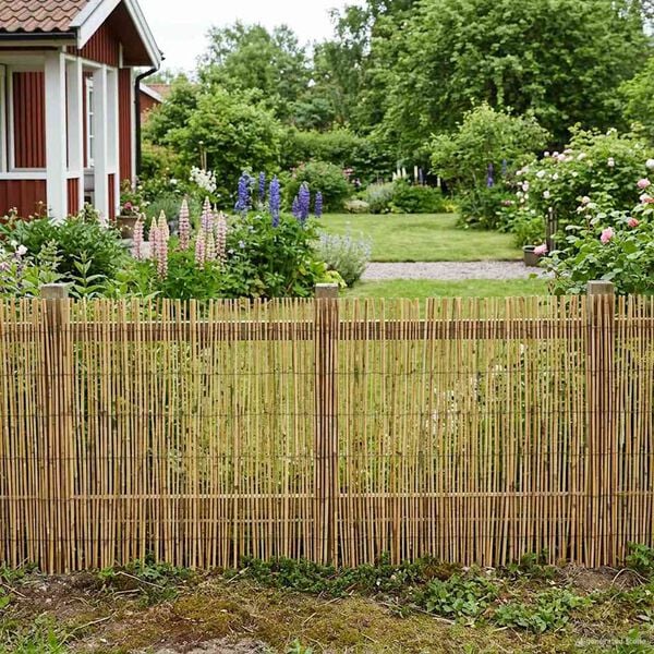 Se afișează imaginea 2 din 7