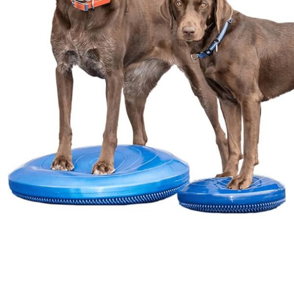 FitPAWS Disc de echilibru pentru animale de companie, albastru, 56 cm