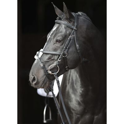 Covalliero Căpăstru pentru cai „Cancun”, negru
