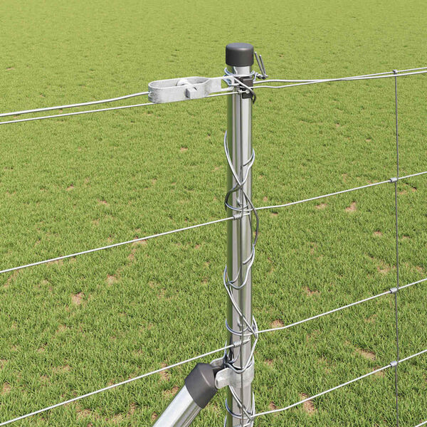 Se afișează imaginea 4 din 16