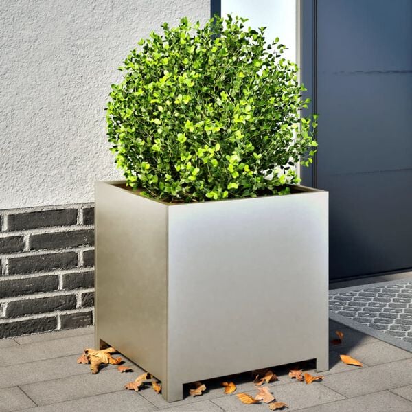 Se afișează imaginea 2 din 10