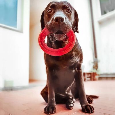 Ferplast Jucărie dentară pentru câini „Smile”, mare, roșu, 20x18x4 cm