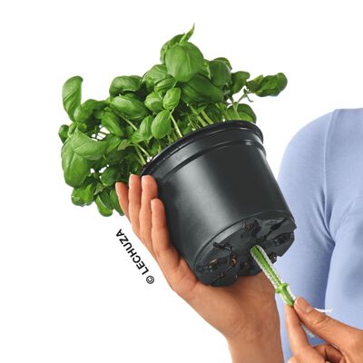 LECHUZA Jardinieră de masă "OJO ALL-IN-ONE", verde acvamarin
