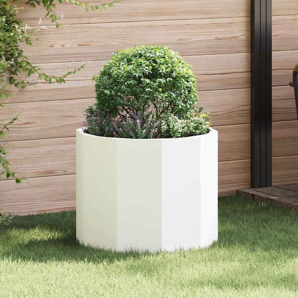 Se afișează imaginea 2 din 10