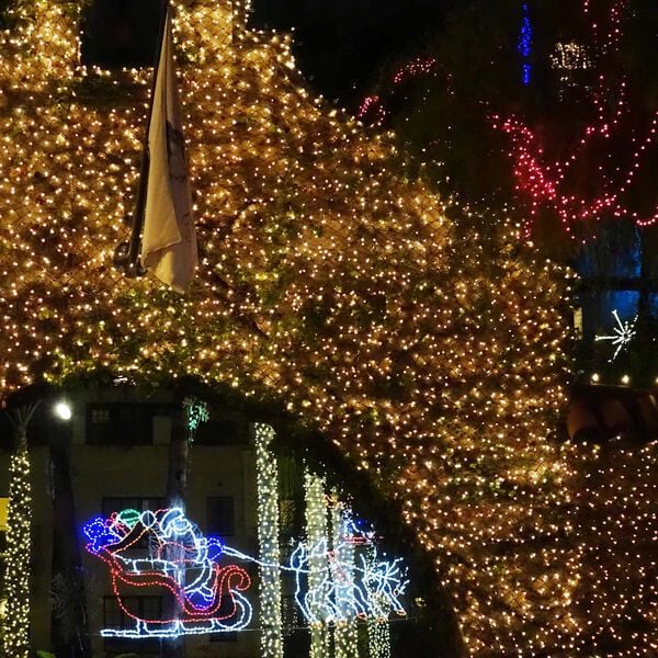 vidaXL Plasă cu LED-uri Verde &icirc;nchis