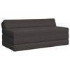 vidaXL Canapea Pat Pliabilă Gri &icirc;nchis 120 x 60 x 49 cm Țesătură