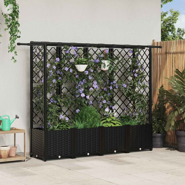 Se afișează imaginea 2 din 8