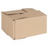 vidaXL Cutie Pliabilă 50 pcs natural 20 x 15 x 10 cm Carton