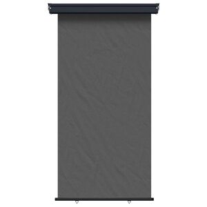 vidaXL Awning lateral pentru balcon 117 x 250 cm