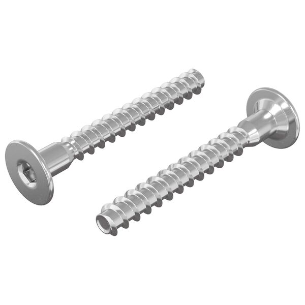 vidaXL Șuruburi confirmat 2 pcs Argintiu &Oslash;5 x 40 mm Metal