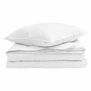vidaXL Duvet 2 &icirc;n 1 cu pernă 2 pcs Alb Pene de rață