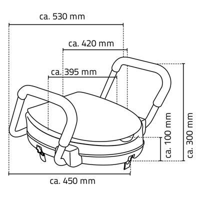 RIDDER Scaun de toaletă cu bară de siguranță, alb, 150 kg A0072001