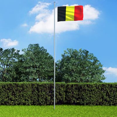 vidaXL Steag Belgia, 90 x 150 cm