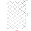 Nature Gard de grădină tip Trellis, 100 x 200 cm PVC, alb, 6040703