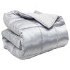 vidaXL Duvet de iarnă Argintiu 200 x 220 cm Satin și Microfibra