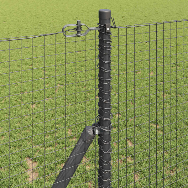 Se afișează imaginea 4 din 15