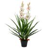 vidaXL Plantă artificială Orhidee Cymbidium cu ghiveci 100 cm verde