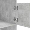 vidaXL Dulap de rufe cu ușă Beton 50 x 68 x 162 cm Lemn compozit