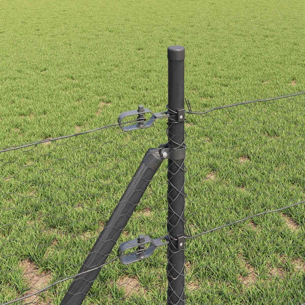 Se afișează imaginea 4 din 15