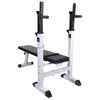 vidaXL Bancă fitness cu rastel greutăți, set haltere/gantere, 120 kg