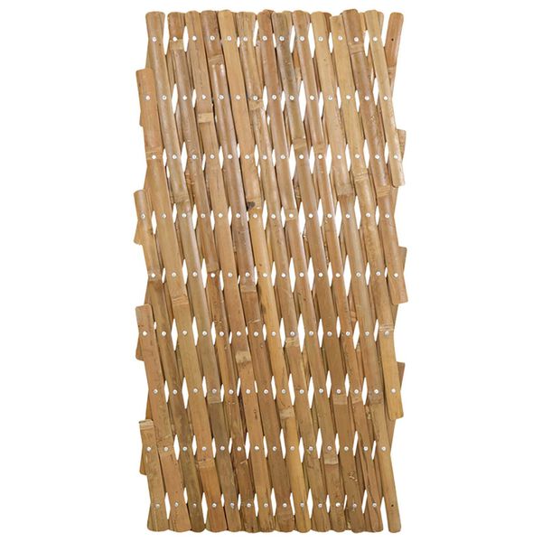 Se afișează imaginea 4 din 11