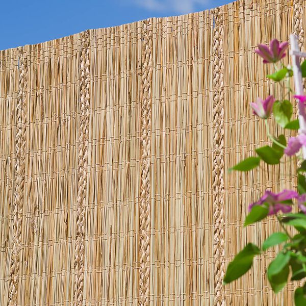 Nature Paravan de grădină, 3 x 1,5 m, rogoz