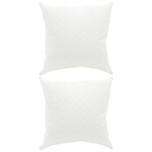 vidaXL Pernă FULDA 2 buc. 60 x 60 cm 100% puf de g&acirc;scă și pene Alb
